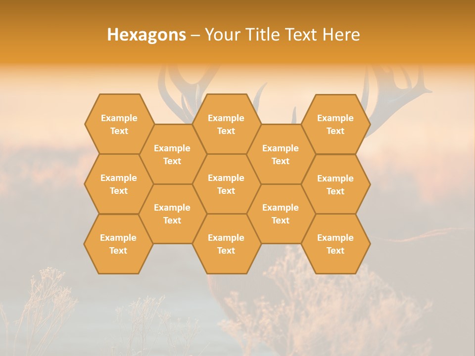 Furniture Contemporary Carpet PowerPoint Template