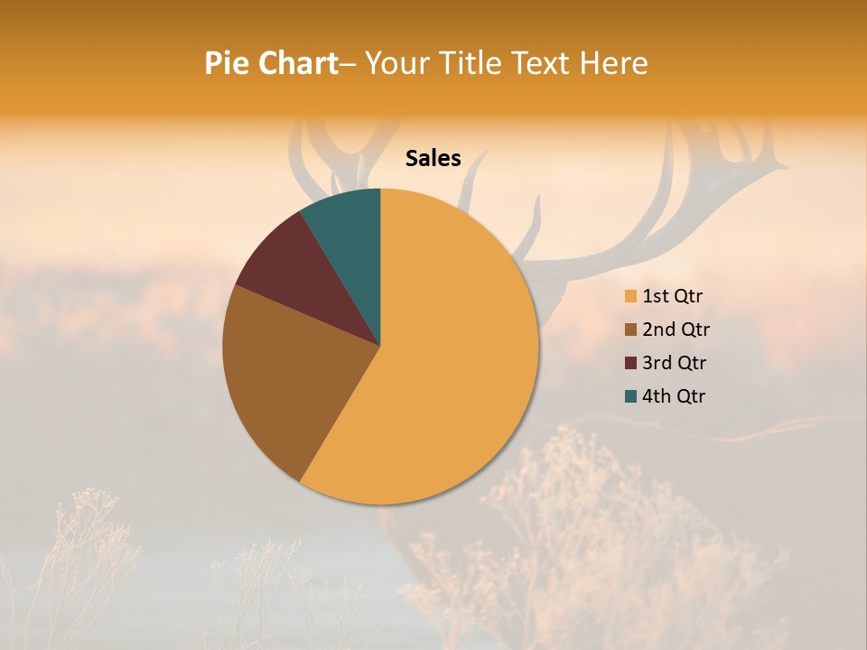 Furniture Contemporary Carpet PowerPoint Template