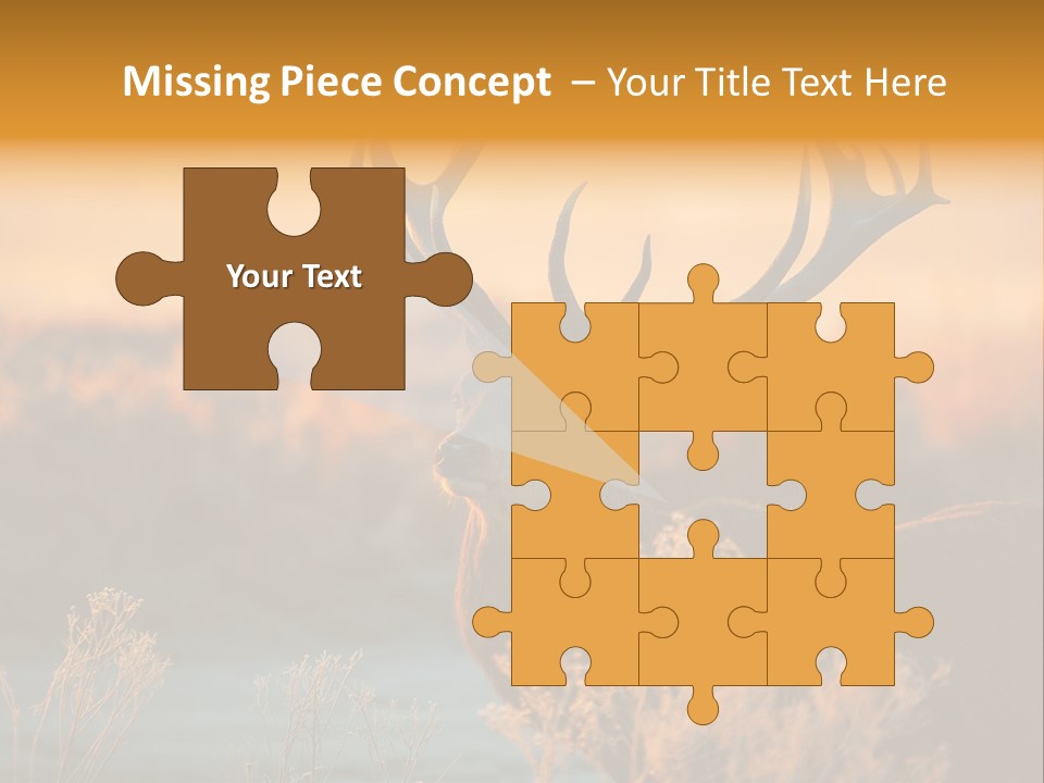 Furniture Contemporary Carpet PowerPoint Template