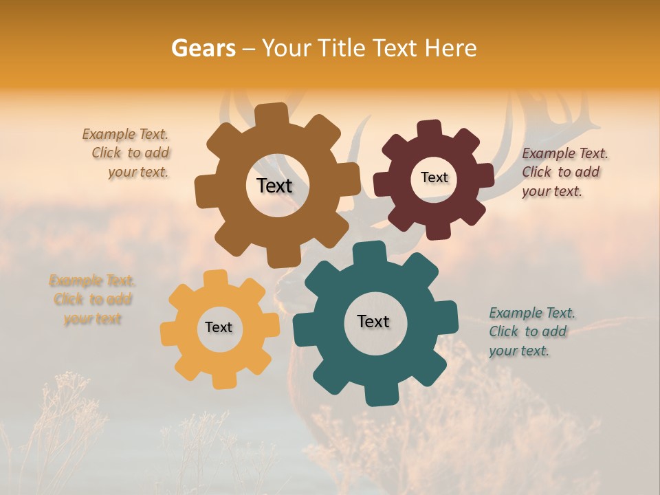 Furniture Contemporary Carpet PowerPoint Template