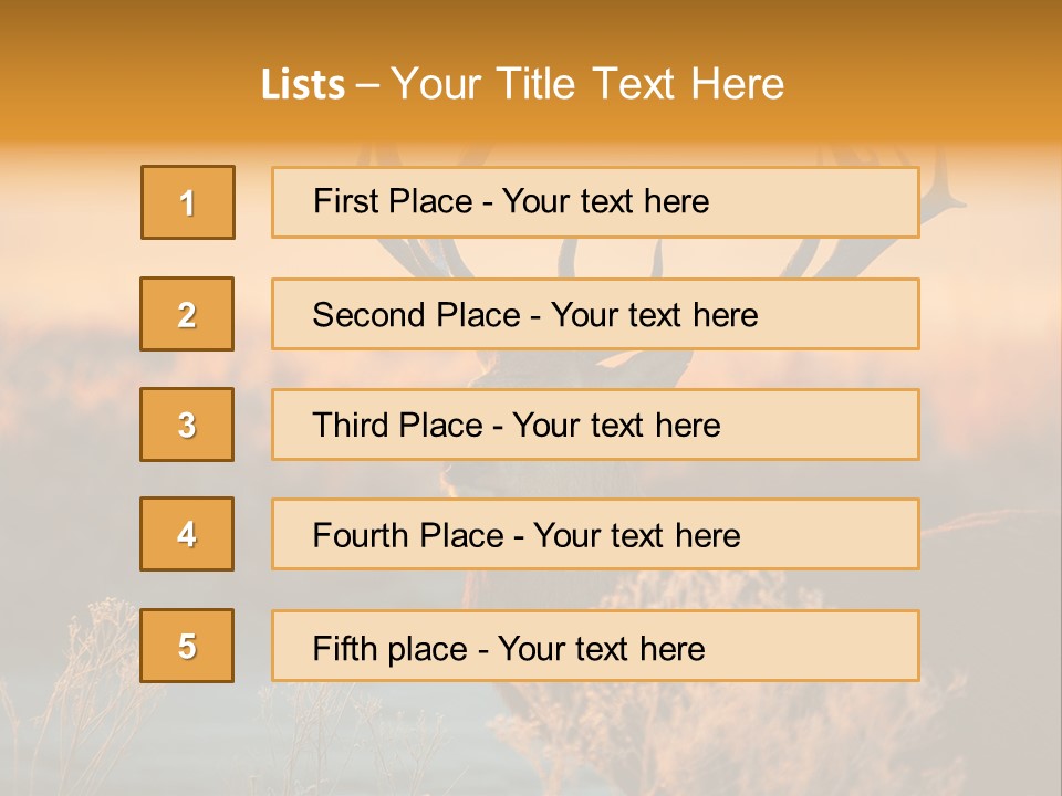 Furniture Contemporary Carpet PowerPoint Template