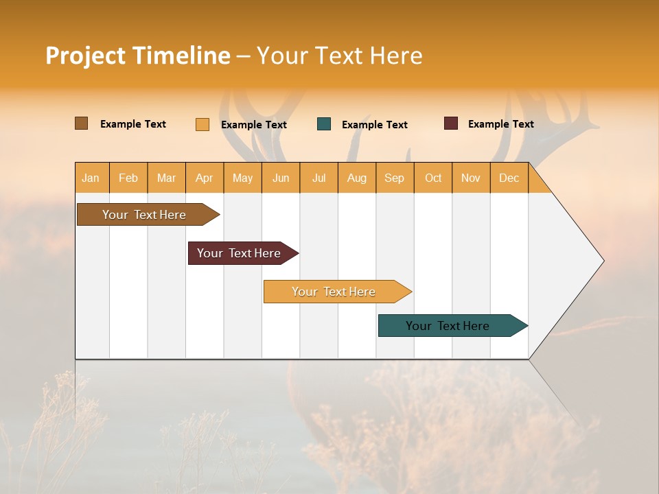 Furniture Contemporary Carpet PowerPoint Template