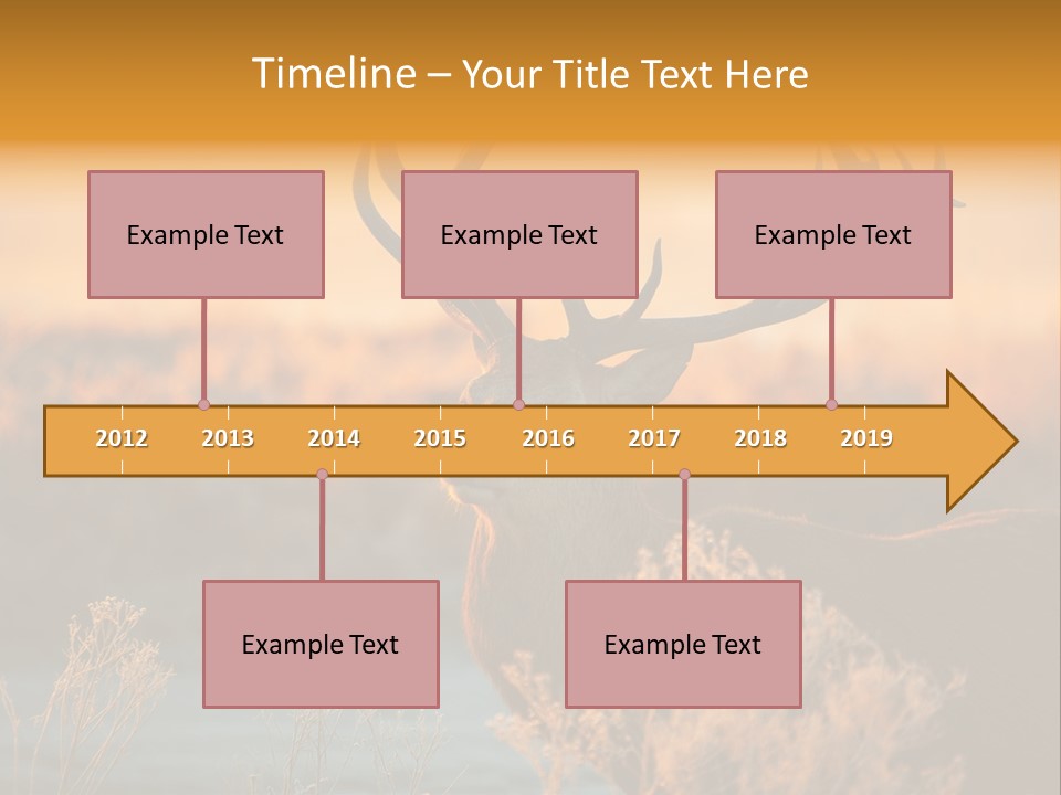 Furniture Contemporary Carpet PowerPoint Template