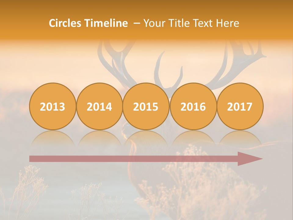 Furniture Contemporary Carpet PowerPoint Template