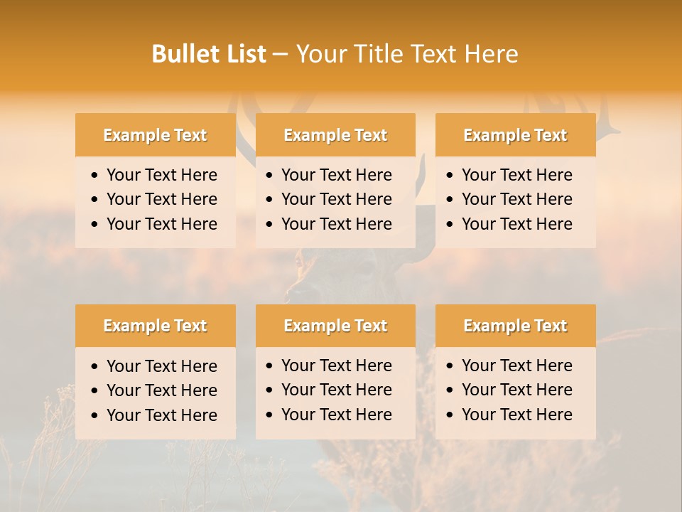 Furniture Contemporary Carpet PowerPoint Template