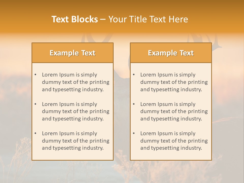 Furniture Contemporary Carpet PowerPoint Template