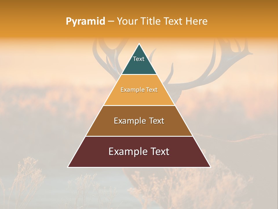 Furniture Contemporary Carpet PowerPoint Template