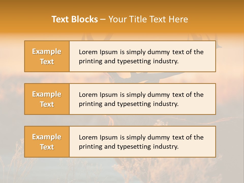 Furniture Contemporary Carpet PowerPoint Template