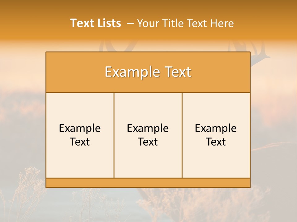 Furniture Contemporary Carpet PowerPoint Template