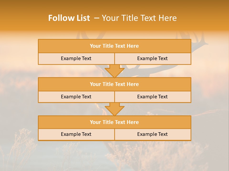 Furniture Contemporary Carpet PowerPoint Template