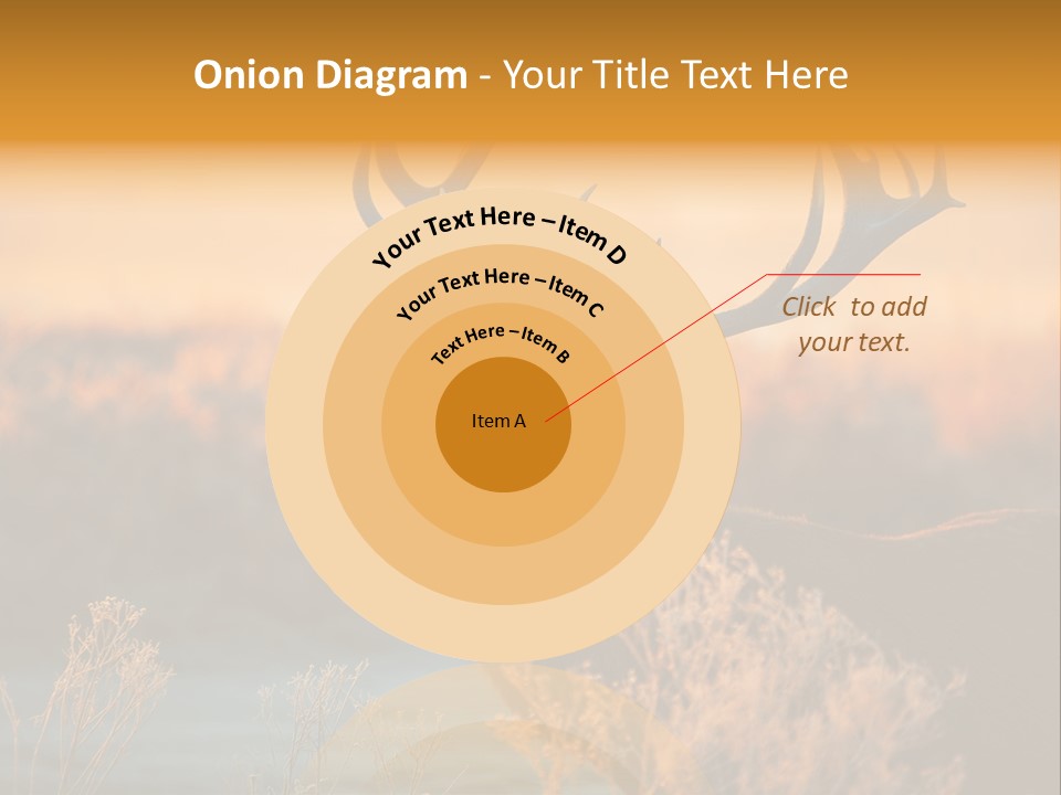 Furniture Contemporary Carpet PowerPoint Template
