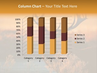 Furniture Contemporary Carpet PowerPoint Template