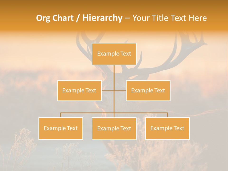 Furniture Contemporary Carpet PowerPoint Template