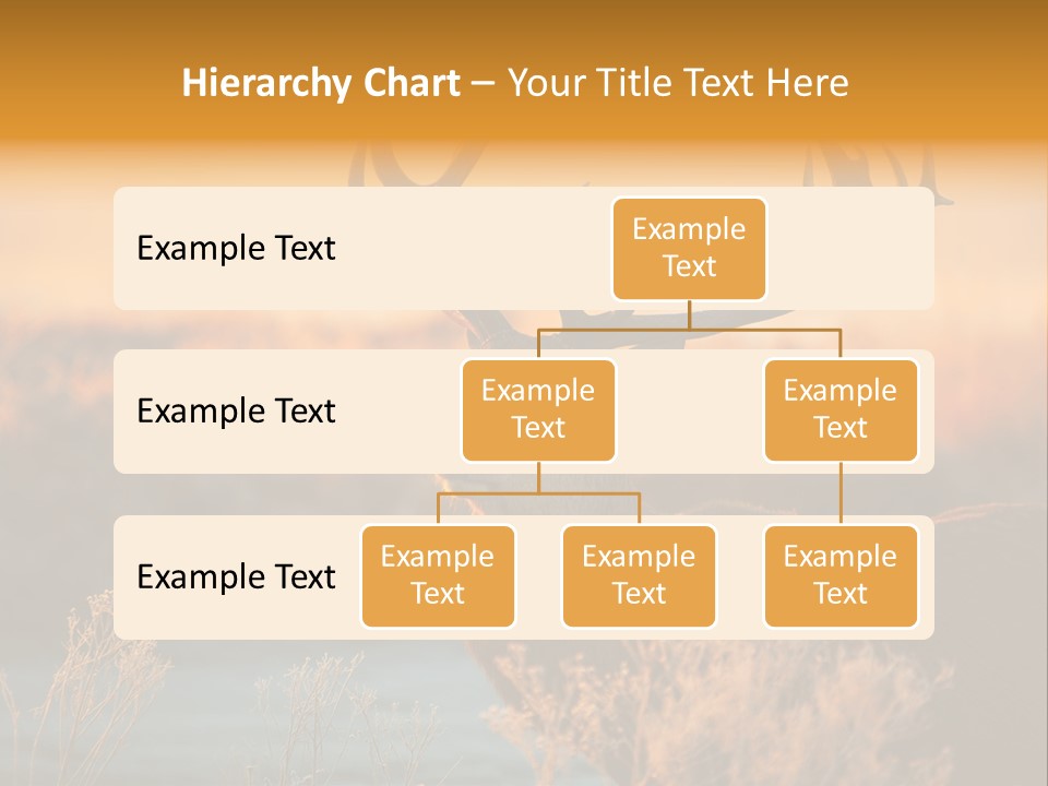 Furniture Contemporary Carpet PowerPoint Template