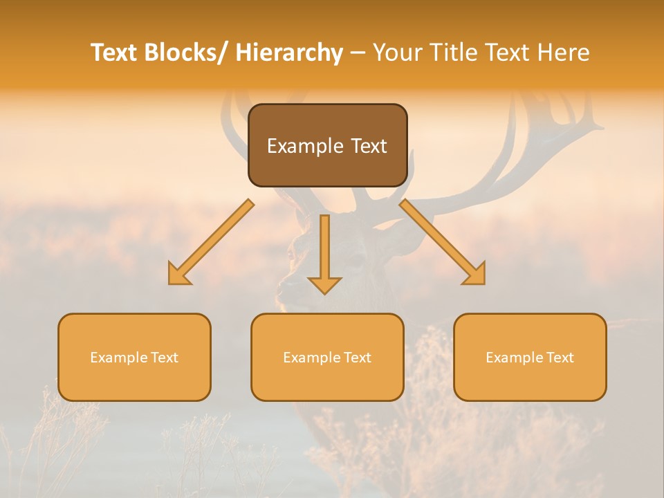 Furniture Contemporary Carpet PowerPoint Template