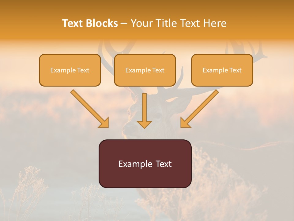 Furniture Contemporary Carpet PowerPoint Template