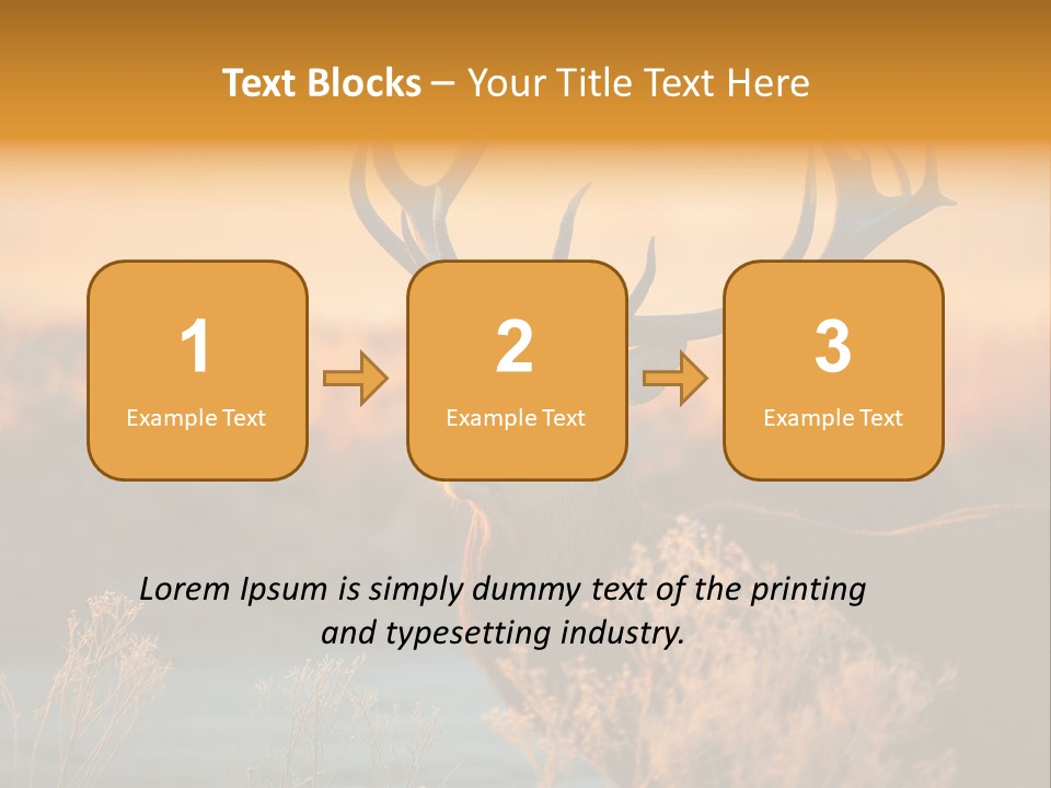 Furniture Contemporary Carpet PowerPoint Template