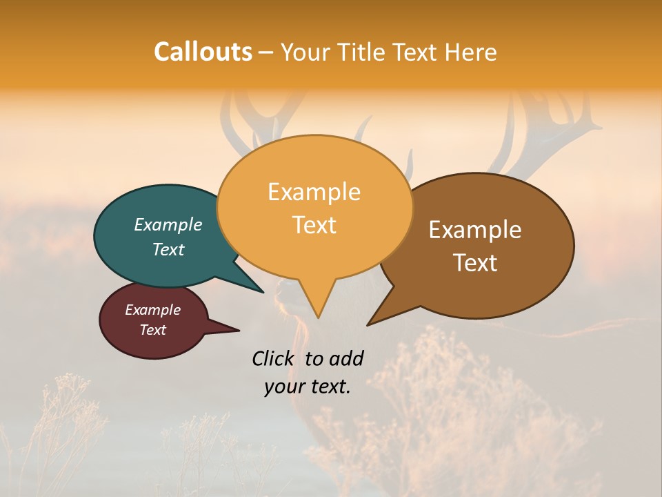 Furniture Contemporary Carpet PowerPoint Template