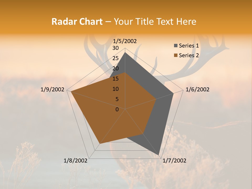 Furniture Contemporary Carpet PowerPoint Template