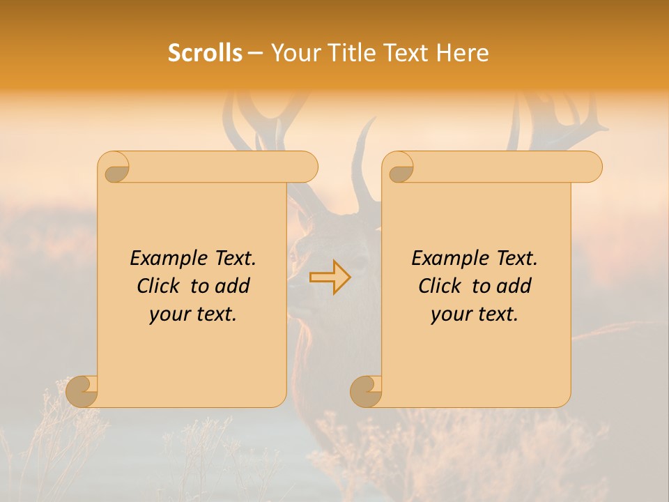 Furniture Contemporary Carpet PowerPoint Template