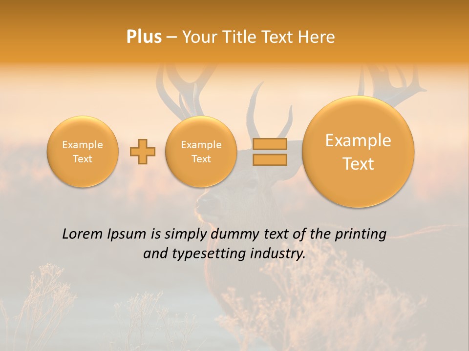 Furniture Contemporary Carpet PowerPoint Template