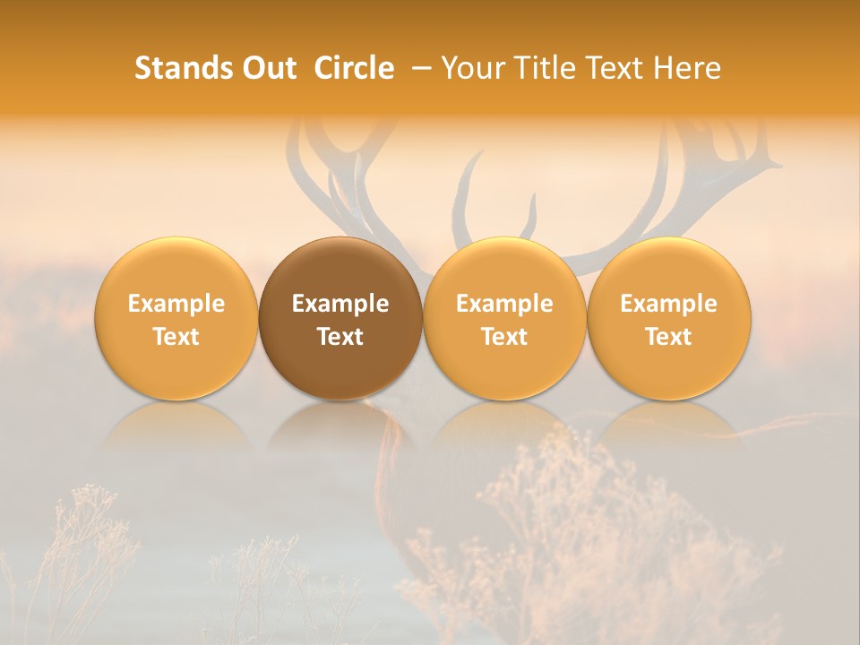 Furniture Contemporary Carpet PowerPoint Template