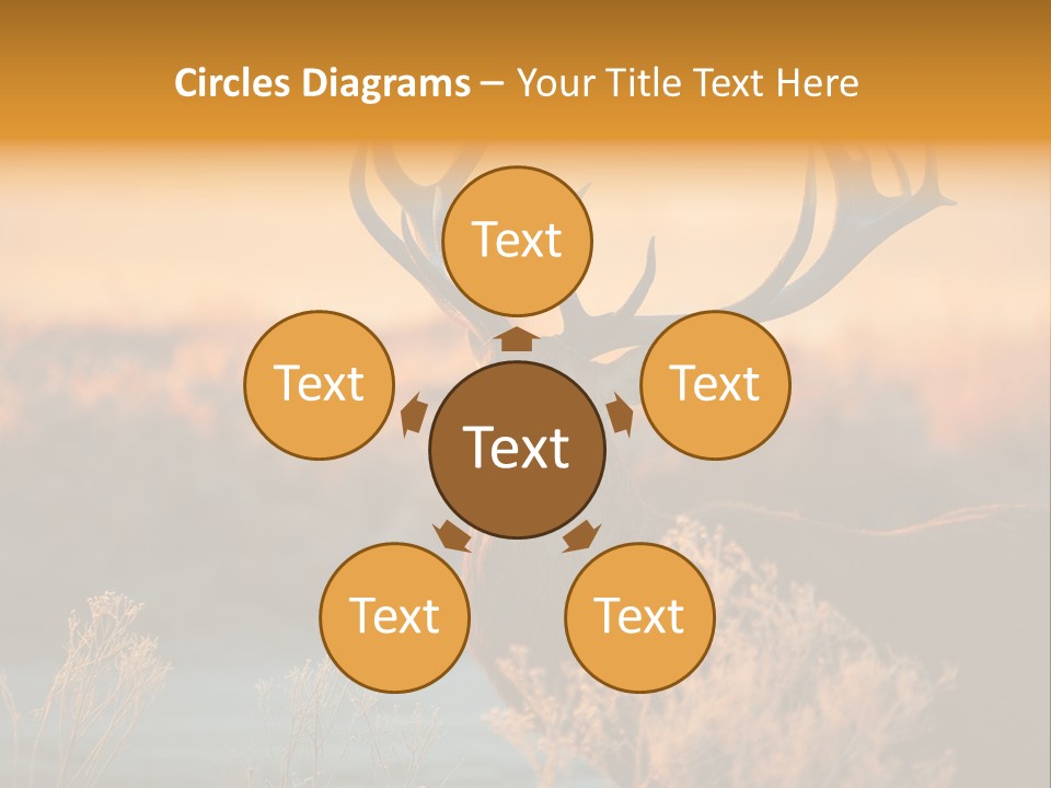 Furniture Contemporary Carpet PowerPoint Template