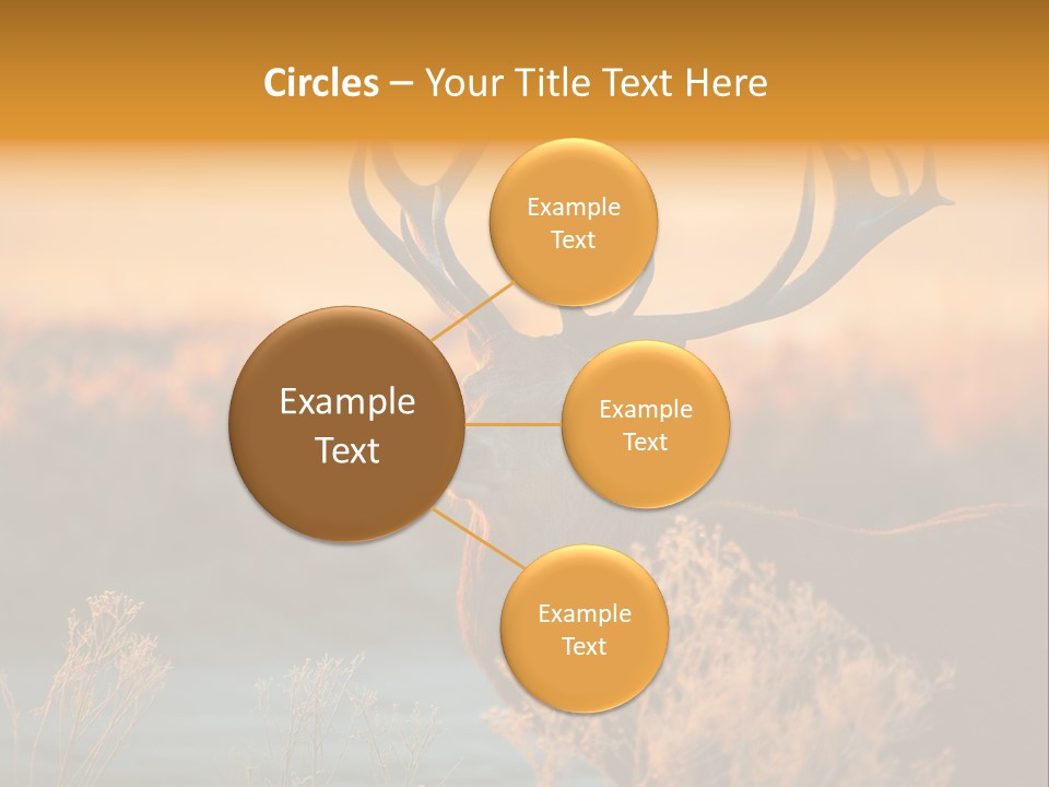 Furniture Contemporary Carpet PowerPoint Template