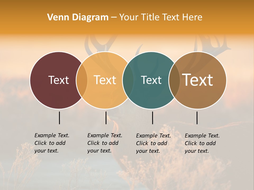 Furniture Contemporary Carpet PowerPoint Template