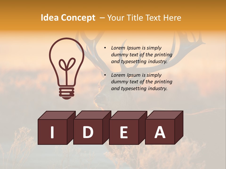 Furniture Contemporary Carpet PowerPoint Template