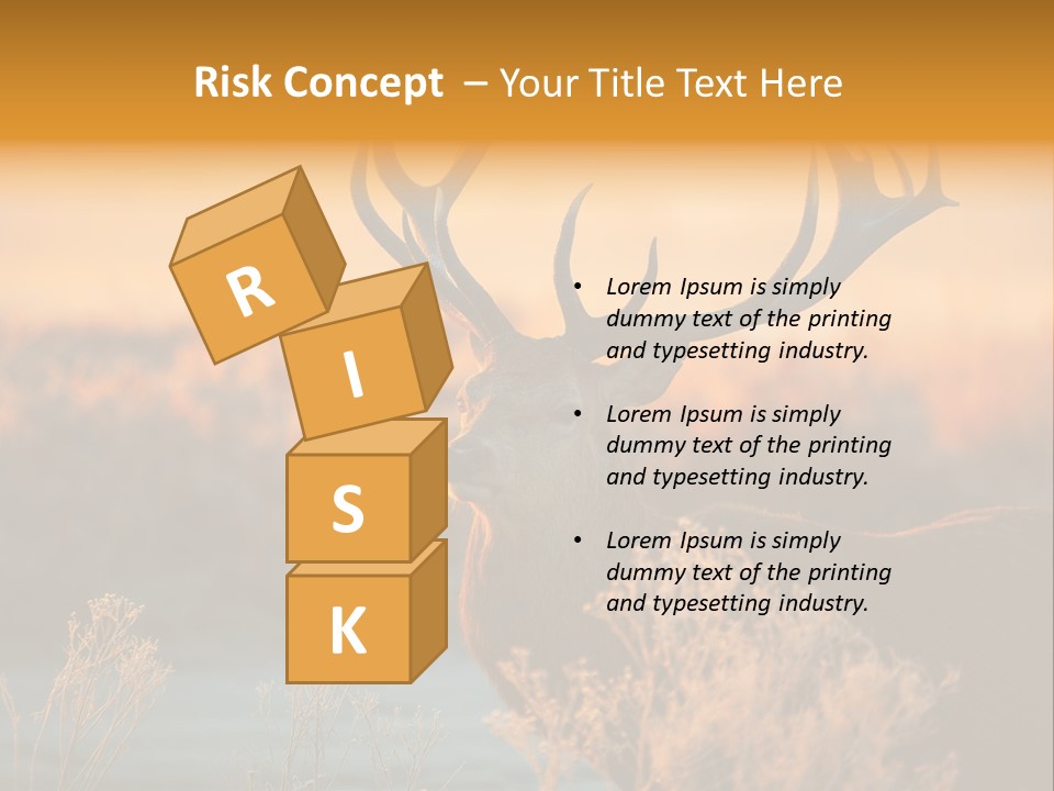 Furniture Contemporary Carpet PowerPoint Template