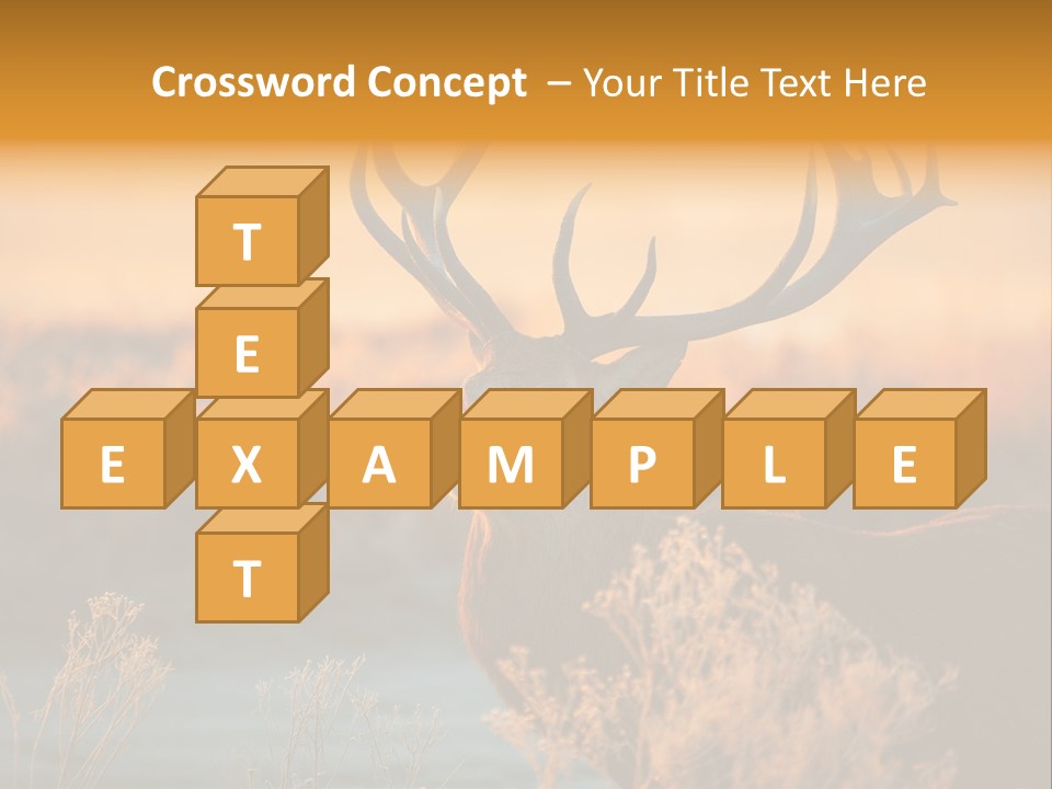 Furniture Contemporary Carpet PowerPoint Template