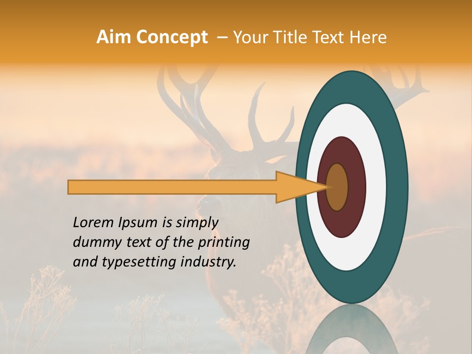 Furniture Contemporary Carpet PowerPoint Template