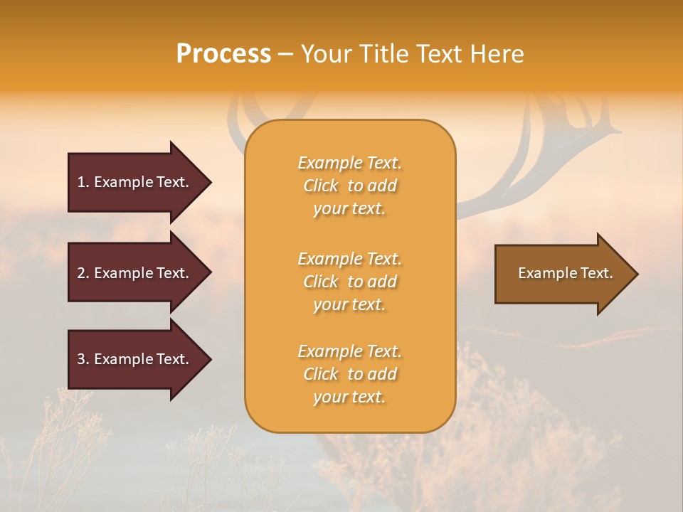 Furniture Contemporary Carpet PowerPoint Template