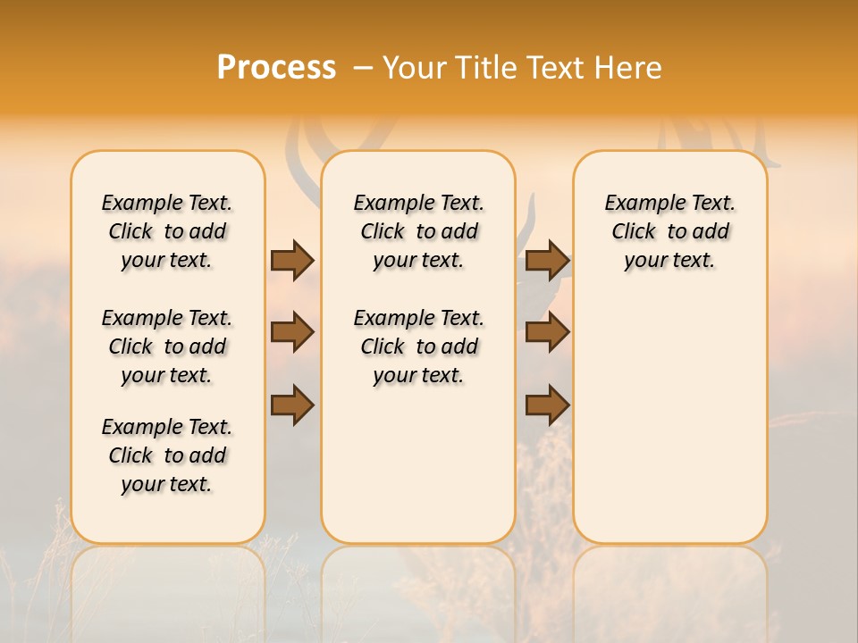 Furniture Contemporary Carpet PowerPoint Template