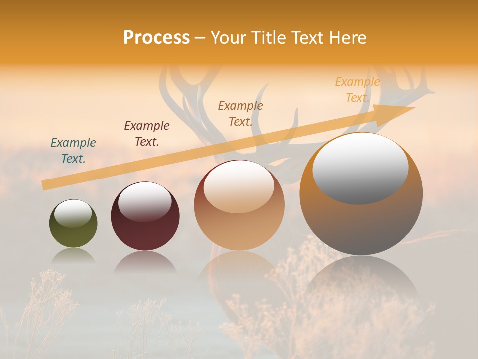 Furniture Contemporary Carpet PowerPoint Template