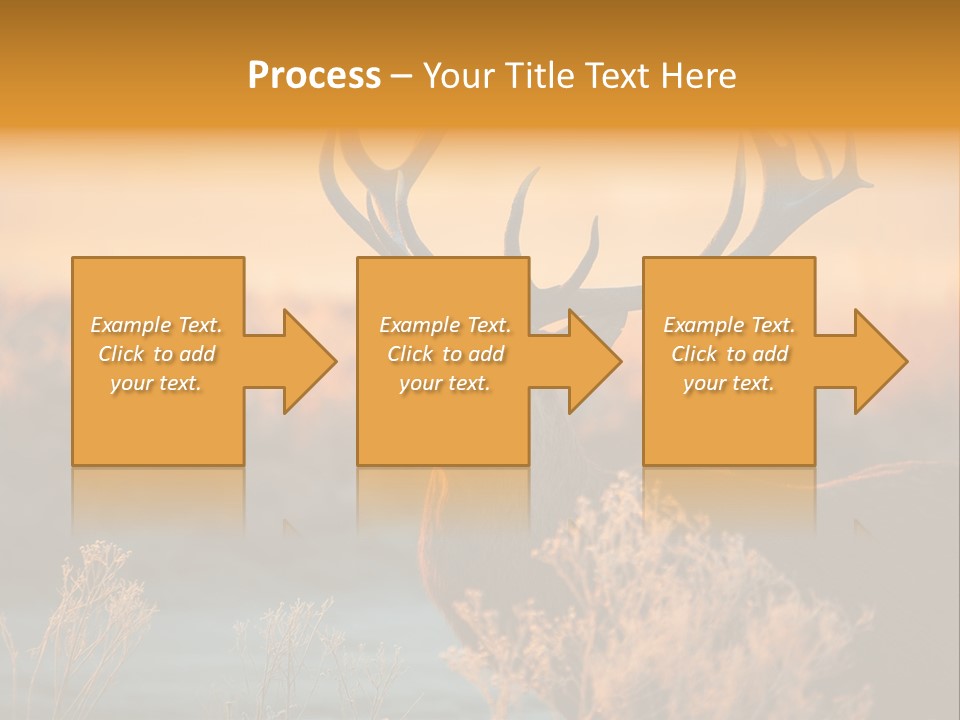 Furniture Contemporary Carpet PowerPoint Template