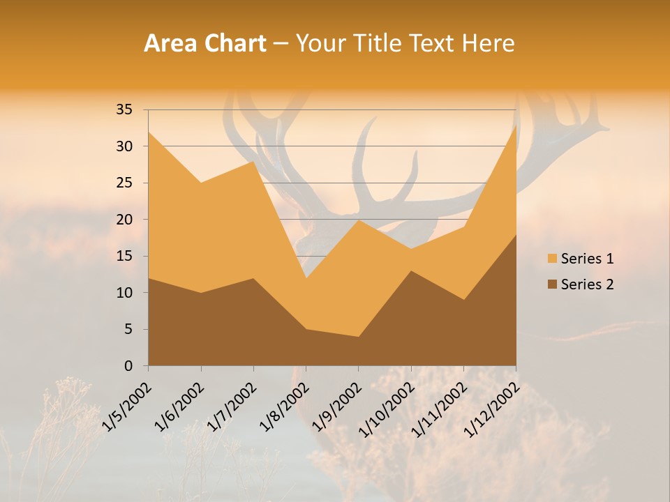 Furniture Contemporary Carpet PowerPoint Template