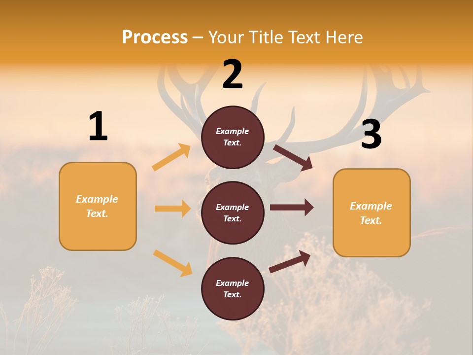 Furniture Contemporary Carpet PowerPoint Template