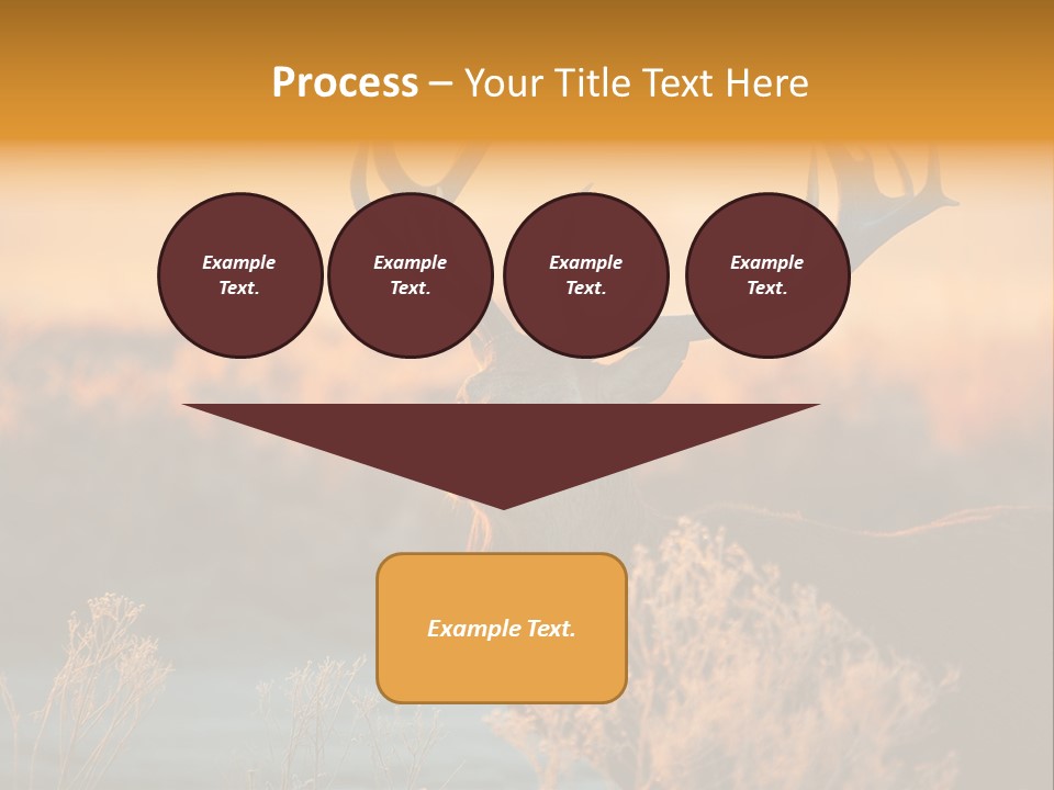 Furniture Contemporary Carpet PowerPoint Template