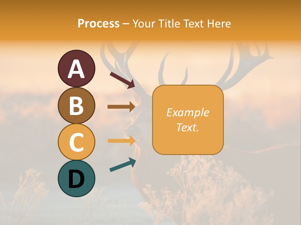 Furniture Contemporary Carpet PowerPoint Template