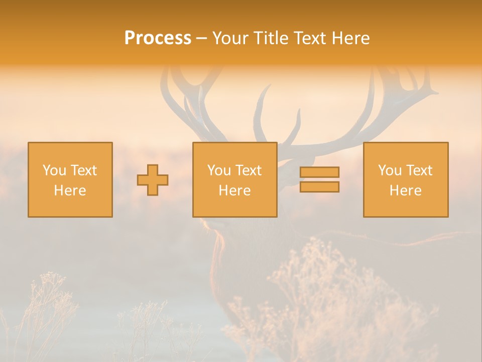 Furniture Contemporary Carpet PowerPoint Template