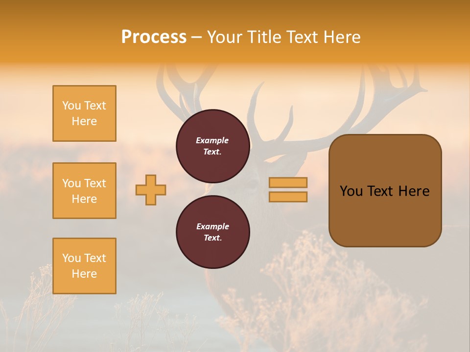 Furniture Contemporary Carpet PowerPoint Template