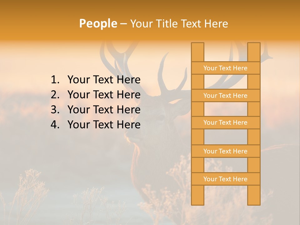 Furniture Contemporary Carpet PowerPoint Template