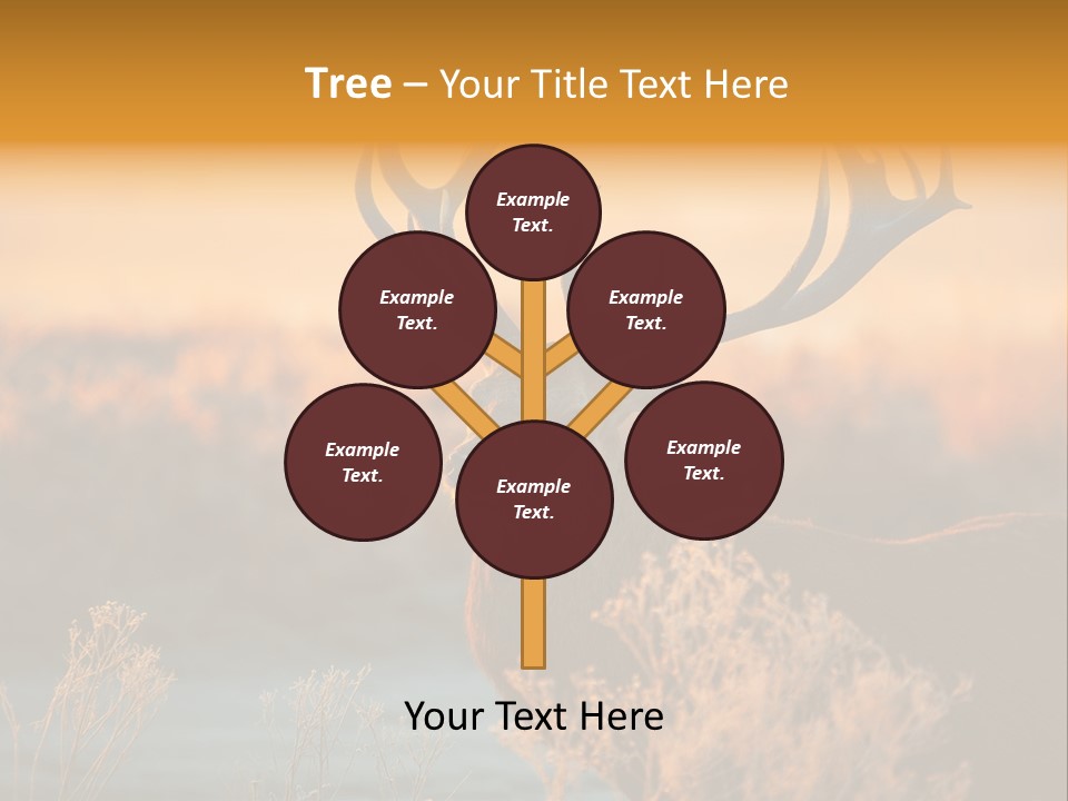 Furniture Contemporary Carpet PowerPoint Template