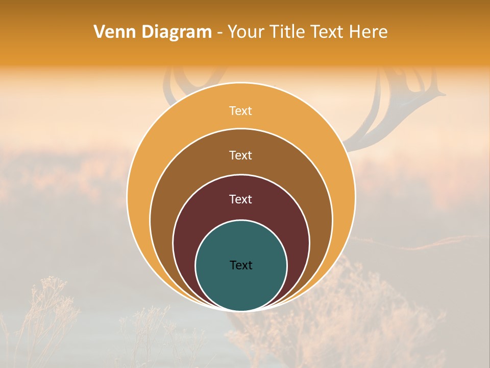 Furniture Contemporary Carpet PowerPoint Template