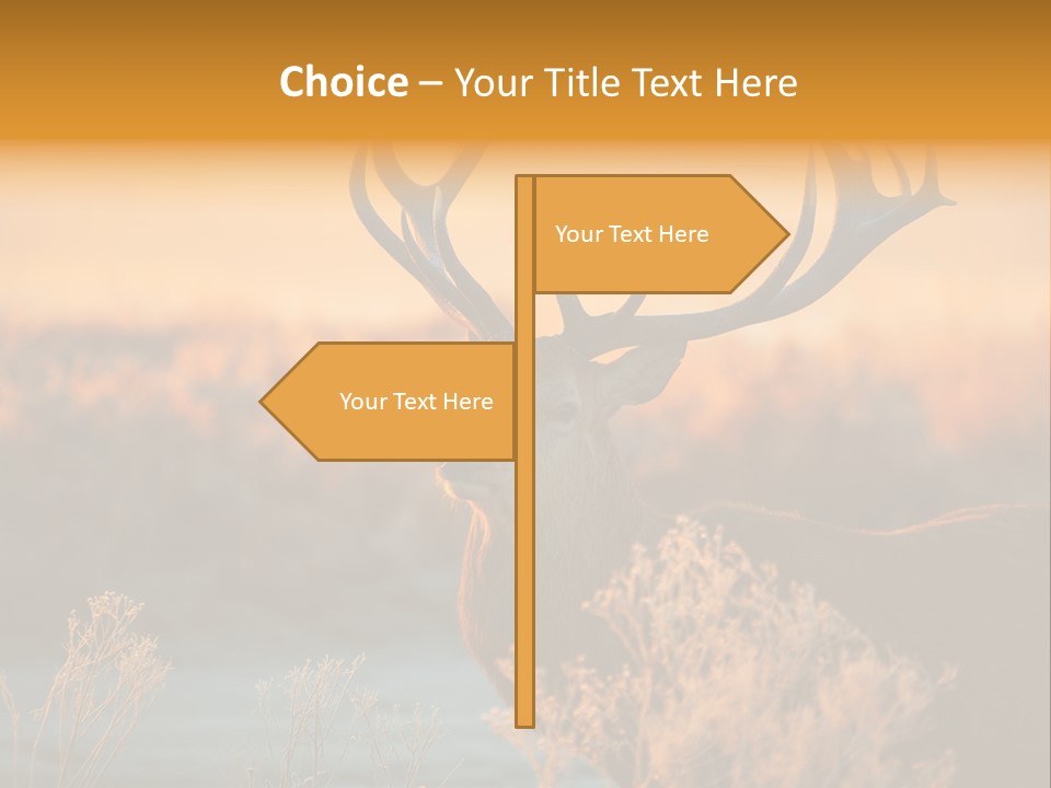 Furniture Contemporary Carpet PowerPoint Template