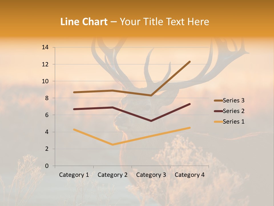 Furniture Contemporary Carpet PowerPoint Template