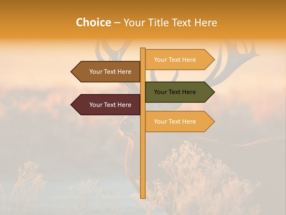 Furniture Contemporary Carpet PowerPoint Template