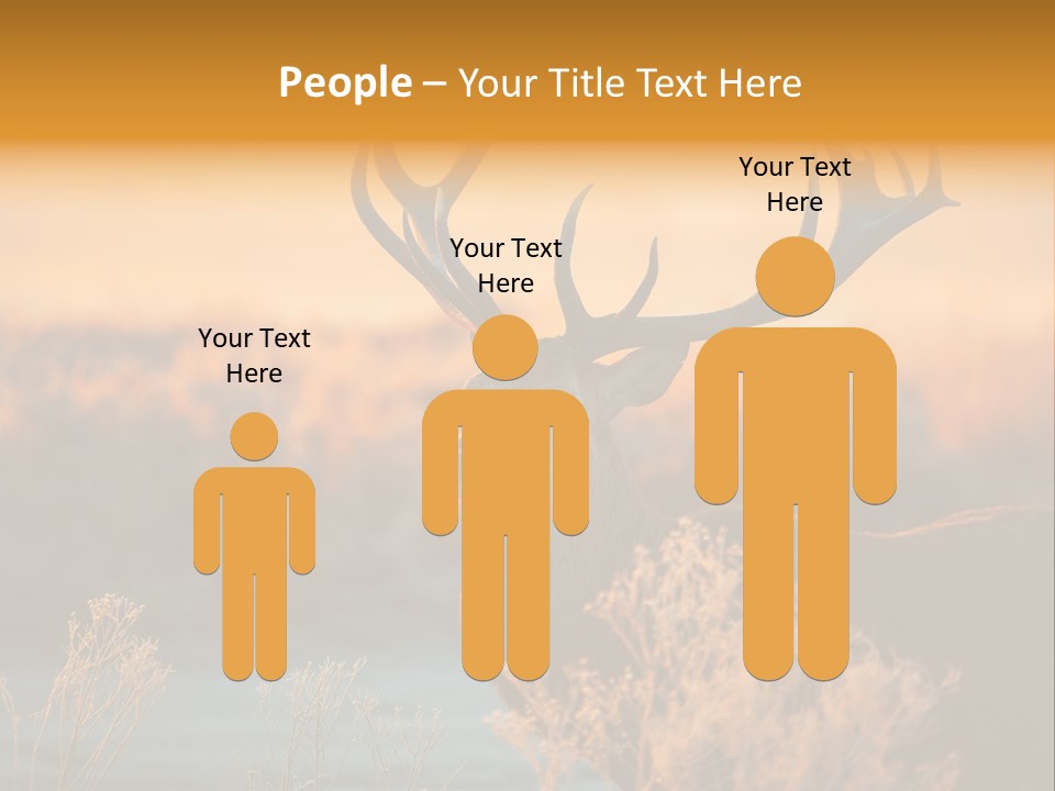 Furniture Contemporary Carpet PowerPoint Template